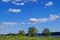 Blue sky and beautiful cloud with meadow tree. Plain landscape background