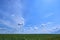 Blue sky and beautiful cloud with meadow tree. Plain landscape background for summer poster. The best view for holiday
