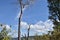 Blue sky with beautiful clouds.frame in bright days