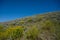 Blue Sky Behind Rolling Hillside in Yellowstone