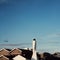 Blue sky, a bird, roofrop of the scandinavian houses