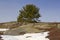 Blue sky and blueberry field with snow rocks