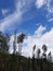 Blue sky cloud in Bromo Mountain Vibes