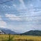 Blue sky with cloud and many of hill and ricefield and one of house.