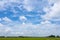 Blue sky and cloud with meadow tree. Plain landscape background