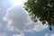 Blue sky and cloud with meadow trees. Plain landscape background for summer poster.