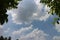 Blue sky and cloud with meadow trees. Plain landscape background for summer poster.