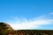 Blue sky and cloud patterns over vineyards