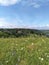 Blue sky with clouds over blooming hills