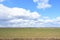 Blue sky. Clouds over the field. In the distance, the forest and the village. A large field of young grass, boundless. Agricultura