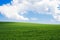 Blue sky with clouds over a green field with young wheat. Travel Ukraine