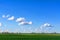 Blue sky with clouds over a wide green country landscape