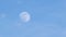Blue sky on daytime with a half of the moon. Close up and soft focus. rising moon