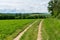 Blue sky and dirt road in wheaten field, czech