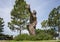 `Blue Sky Dream` by Seth Venable in Arlington Sculpture Garden at Meadowbrook Park in Arlington, Texas.