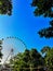 Blue sky Ferris wheel and green trees