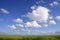 Blue sky in Florida Everglades wetlands green plan