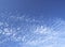 Blue sky with fluffy white altocumulus clouds