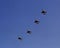 Blue sky, the four fighters seven planes in formation flight training