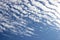 Blue sky with gorgeous white layered cumulus clouds and two flying birds. Daylight scenery. Beautiful nature background.