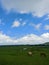 blue sky On a green expanse of meadows