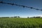 Blue Sky Green Field Barbed Wire