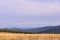 Blue sky. Green Forest. High mountains. Field