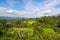 The blue sky and green rice fields in West sumatera