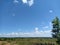 Blue sky and green savana