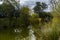 Blue sky, green trees and streams of water.