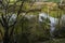 Blue sky, green trees and streams of water.