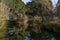 Blue sky, green trees and streams of water.