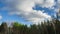 Blue sky with grey clouds and forest