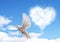 Blue sky with hearts shape clouds and dove.