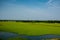 Blue sky with open grass field