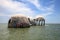 Blue sky over the Cape Romano dome house ruins