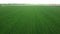 Blue sky over a green field, aerial view. Farmland landscape.