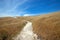 Blue sky over Potato Harbor Road hiking trail on Santa Cruz island in the Channel Islands National Park - USA