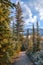 Blue Sky Over A Treelined Mountain Park Pathway