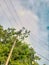 Blue sky with power lines and electrical pylons among trees