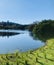 Blue sky, quiet lake, and green grass at Western Springs Lakeside Park.