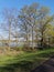 Blue sky and river behind trees