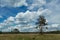 A Blue Sky with sharp white clouds