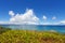 Blue sky and subtropical plants of Okinawa