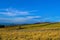 Blue sky thinking at Longshaw, near Grindleford, East Midlands.