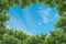 Blue sky with thinly cloud with green tree background