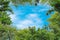 Blue sky with thinly cloud with green tree background