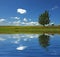 Blue sky and tree in the field