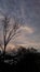 Blue sky with very beautiful clouds before sunset