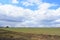 Blue sky. The village granary, a farm. Clouds are low over the field. Forest in the distance. A large field of young grass